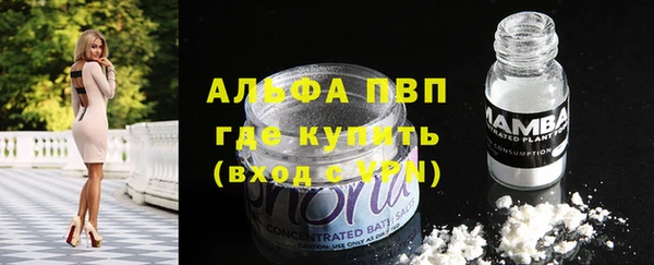 стафф Абдулино