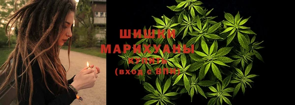 спиды Новодвинск