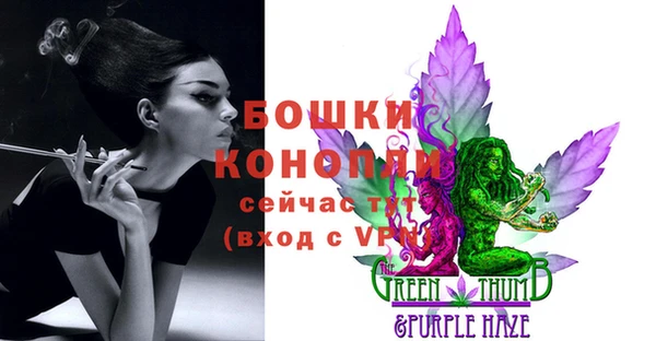 гидра Новозыбков