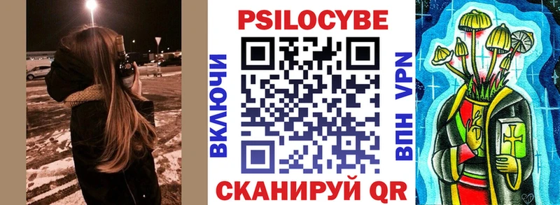Галлюциногенные грибы Cubensis  блэк спрут как войти  Шарыпово 